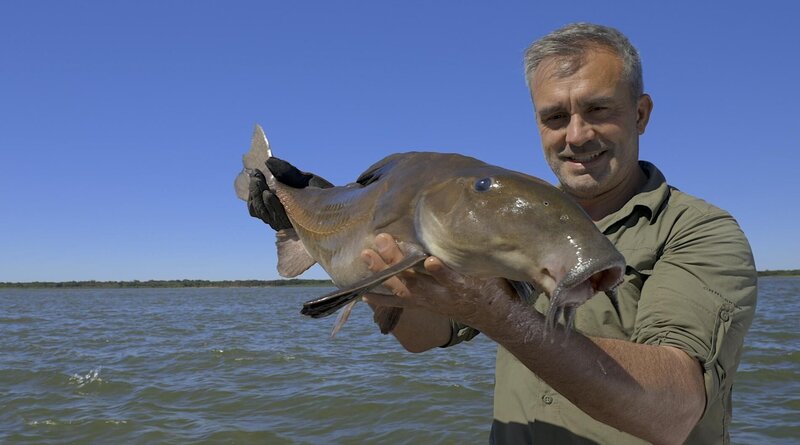 Bild: Untamed Productions Lizenzbild frei