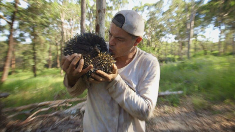 Tulum, Mexico – Frank Cuesta. – Bild: Animal Planet