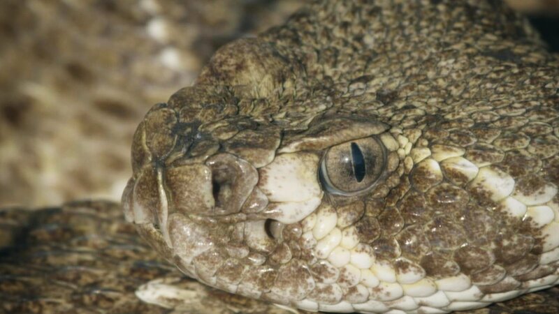 . – Bild: Warner Bros. Discovery