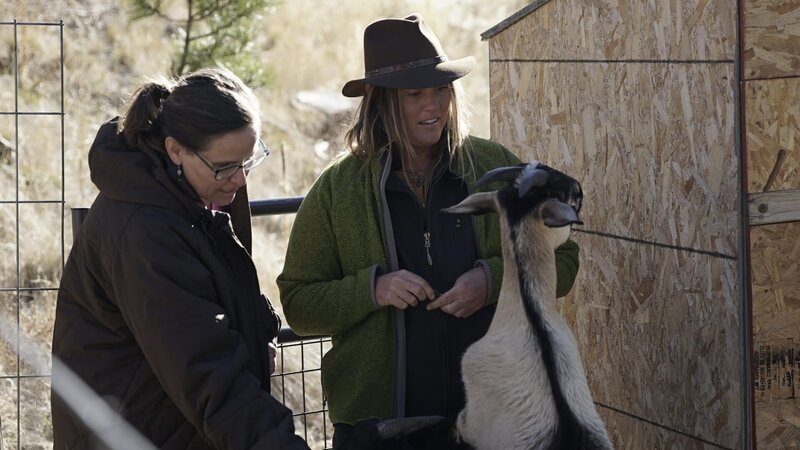 Misty Raney and Patty Crum look at a goat. – Bild: Discovery Communications