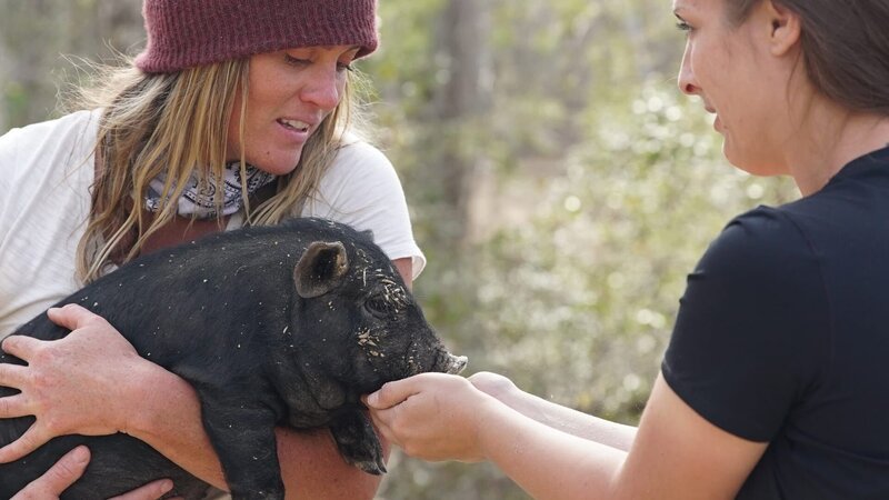 Misty holding a piglet with Kim feeding it at the Zabecs Homestead in Kinsale, Virginia. – Bild: Discovery Communications