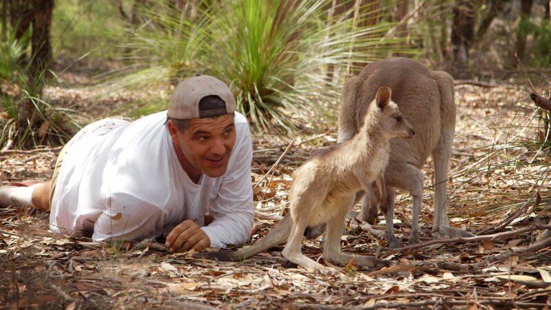 Frank Cuesta visits the ruined city of Chichén Itzá. – Bild: Animal Planet