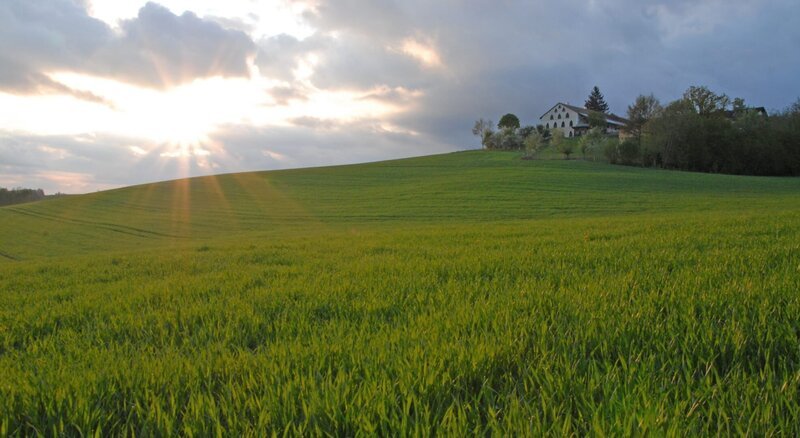 Ein Kornfeld vor einem Bauernhof. – Bild: BR/​nautilusfilm GmbH