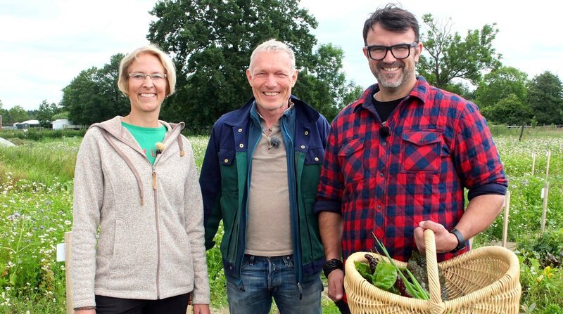 Frisch vom Acker – zusammen mit Andrea Porps und Thomas Sannmann (Mitte) sammelt Tarik Rose ein paar Zutaten für sein Gericht direkt vom Bio-Acker. – Bild: NDR/​Svenja Halberstadt /​ ZDF und NDR/​Svenja Halberstadt