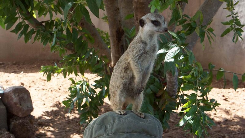 . – Bild: ANIXE HD