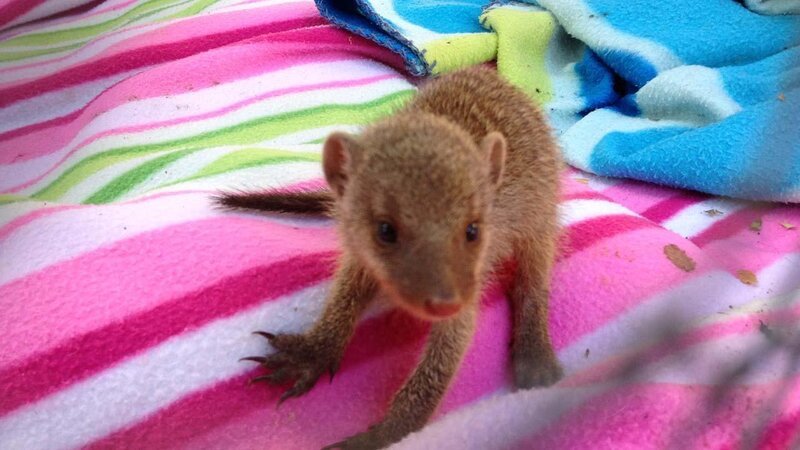 . – Bild: ANIXE HD