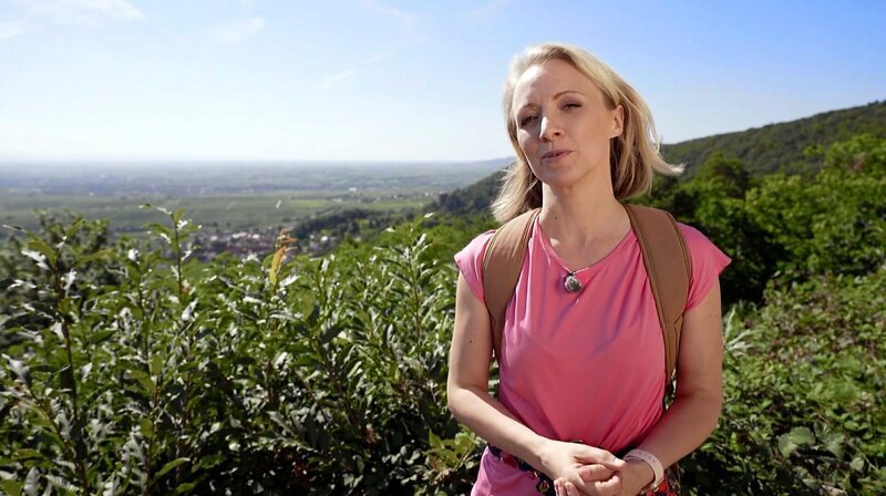 Was im Süden der Pfalz alles gedeiht: Wein, Feigen und Kiwis, Esskastanien und Mandeln. SWR-Moderatorin Anna Lena Dörr lässt sich genüsslich treiben: Von einem Bilderbuchörtchen zum Nächsten. – Bild: SWR