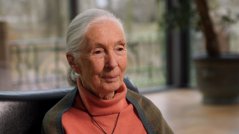 Die 86-jährige Verhaltensforscherin und Ikone des Artenschutzes Jane Goodall hat ihr gesamtes Leben dem Studium und Schutz von Tieren gewidmet. – Bild: Curiosity Channel Die 86-jährige Verhaltensforscherin und Ikone des Artenschutzes Jane Goodall hat ihr gesamtes Leben dem Studium und Schutz von Tieren gewidmet. – Bild: Curiosity Channel