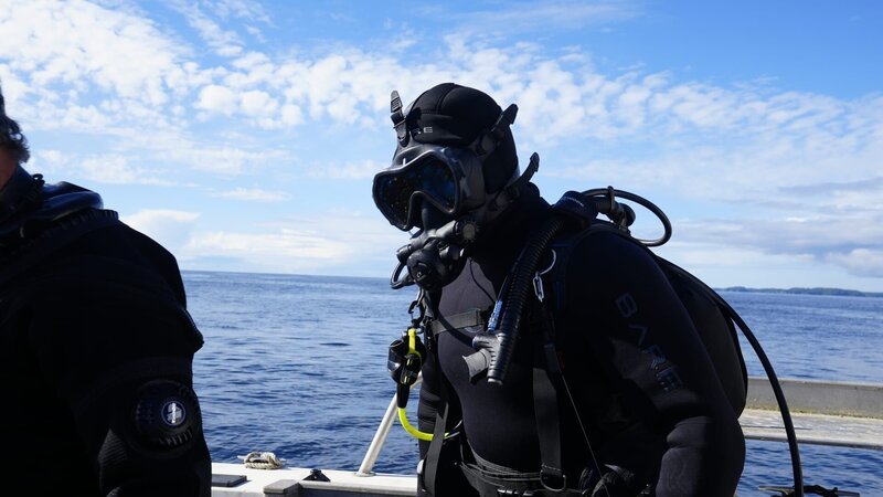 Bild: Great Pacific Media Lizenzbild frei