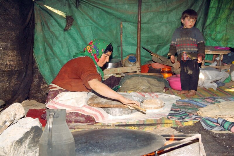 Bild: ORF/​NDR Naturfilm/​Jan Haft