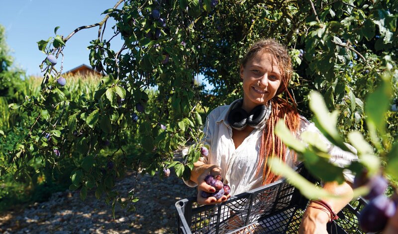 Nach dem Prinzip der Permakultur baut Teresa Weiß Obst und Gemüse an – und das ganz ohne künstliche Bewässerung. Mit ihrem Hof bei Passau hat sich die gelernte Visagistin einen Traum erfüllt. – Bild: BR, isarflimmern fernsehproduktion GmbH, cutflow GmbH