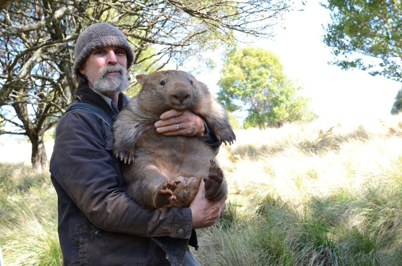 Wildhüter John Creighton mit einem geretteten Wombat – sein Engagement steht exemplarisch für den Kampf um das Überleben der australischen Tierwelt nach den Bränden. – Bild: Trevor Vale /​ Terra Mater Studios GmbH