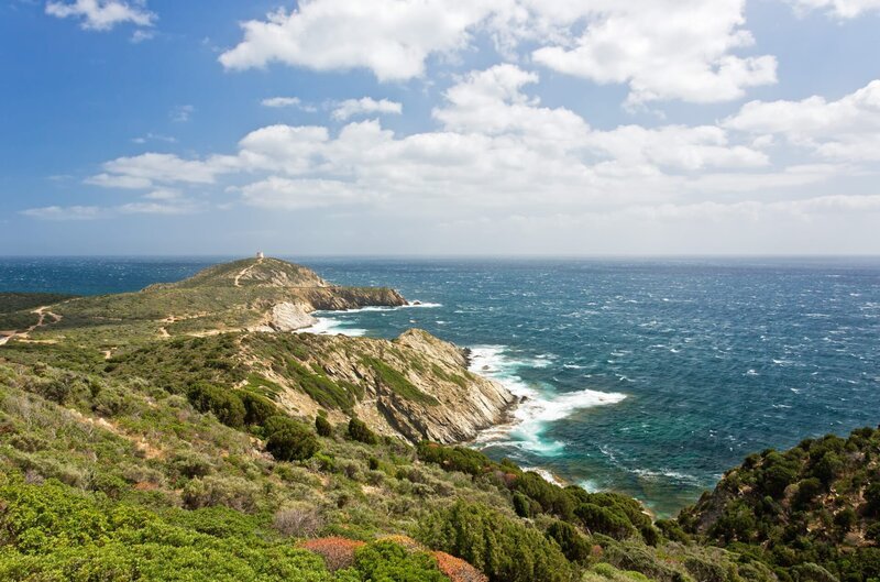 Sardinien gilt zu Recht als echtes Naturjuwel: Hier gibt es an der Küste noch weite, unverbaute Abschnitte. – Bild: ORF/​NDR Naturfilm/​Gabriele Mastrilli