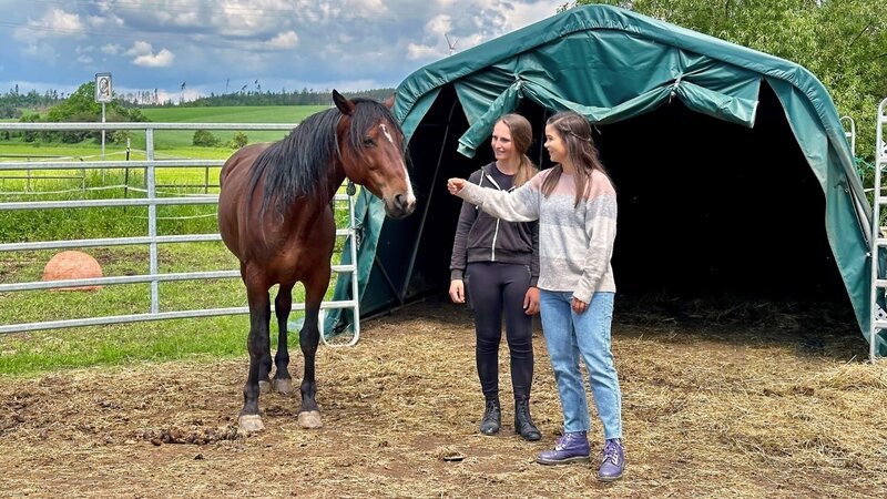 Anna (rechts) darf den wilden Mustang aus Amerika kennenlernen, den Lisa (links) gerade trainiert. Das Pferd ist erst seit drei Wochen in Deutschland und noch scheu und misstrauisch. (Lisa Eckstein) – Bild: BR/​Text und Bild Medienproduktion GmbH & Co. KG/​Katharina Brackmann
