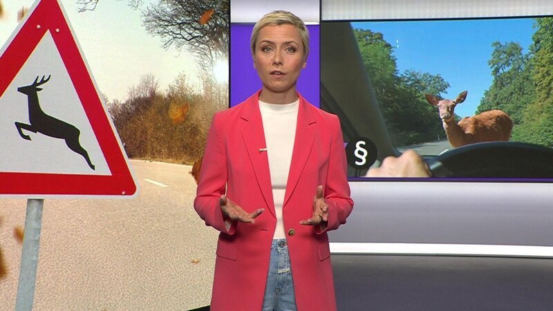 Bild: RTL