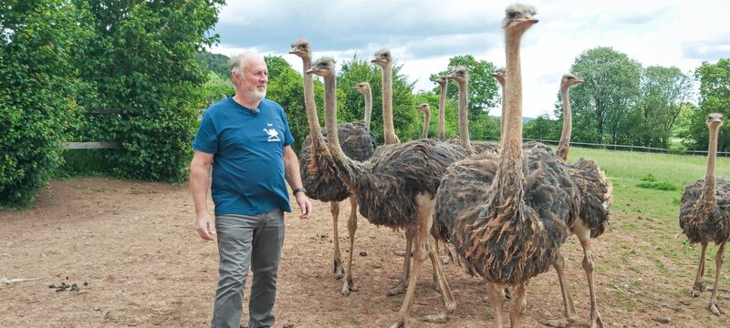 Tierisch geht es auch bei Fred Kaufmann zu. Er züchtet Strauße. Die Laufvögel sind für ihn die imposanten Nachfahren der Dinosaurier. – Bild: MDR/​Kathrin Welzel
