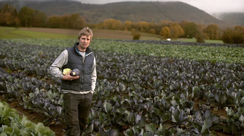 Lukas Bensel vor seinem Kohlfeld. – Bild: SWR