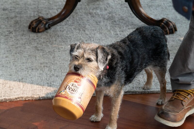 Bild: 2018 Farmersville Productions, Inc. All Rights Reserved. Lizenzbild frei