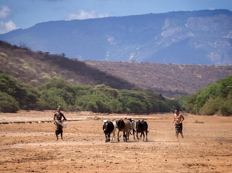 Hazen Audel and a Samburu warrior are preparing for an extreme multi-day cattle drive to deliver famished cows to essential new pastures. – Bild: National Geographic Channels/​Alex Parkinson