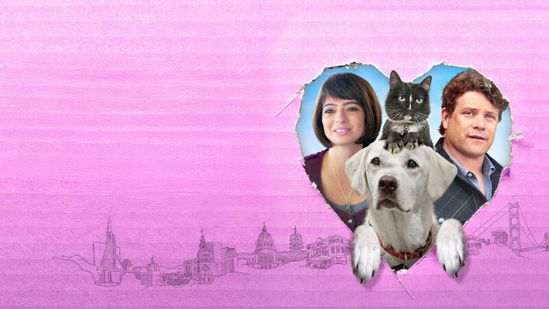 Liebe auf 4 Pfoten – Bild: Tiberius Film /​ ZDF und Tiberius Film