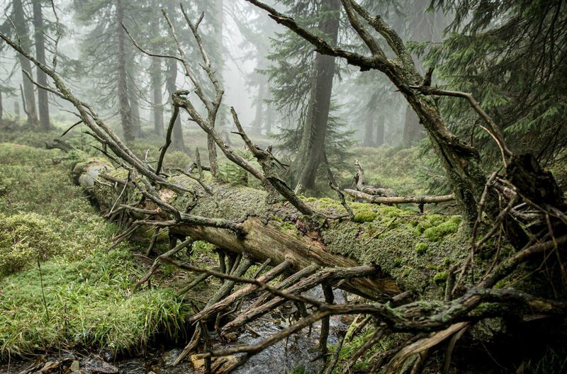 Märchenhaftes Tschechien – Bild: NDR/​Science Vision