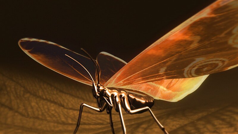 CGI: A bronze butterfly perches on a leaf. – Bild: PixelDust Studios /​ NGC