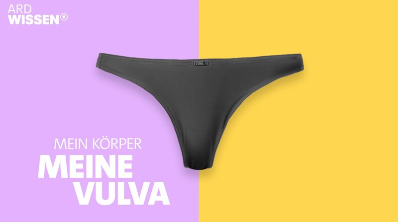 Schamlippen, Schamhügel – schon die Begriffe zeigen, wie tabu die Vulva ist. Die Doku holt die Vulva aus dem Schambereich. – Bild: SWR