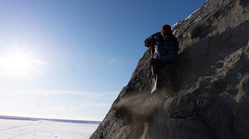 Die Paläontologin Dr. Pat Druckenmiller räumt mit einer Schaufel gefrorenes Gestein von einem fossilen Knochenbett am North Slope von Alaska. – Bild: Caravan/​Chris Whiteneck