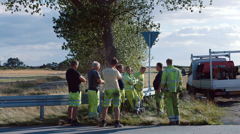 Giraffe – Bild: rbb/​Komplizen Film/​Jenny Lou Ziegel