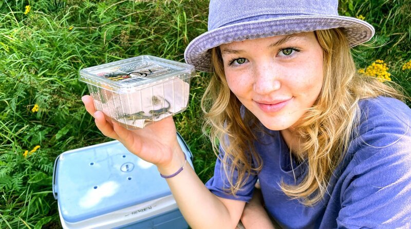 In Schleswig-Holstein darf Nina helfen, kleine Zauneidechsen auszuwildern. Weiteres Bildmaterial finden Sie unter www.br-foto.de. – Bild: BR/​Text und Bild Medienproduktion GmbH & Co. KG/​Marcella Müller