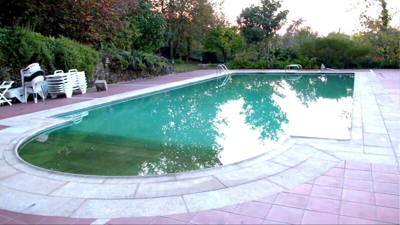 Bild: Tanja Bachetzky