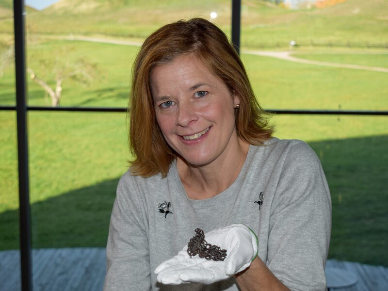 Kriegerinnen der Wikinger – Bild: ORF/​Urban Canyons 2019/​Sebastian Peiter