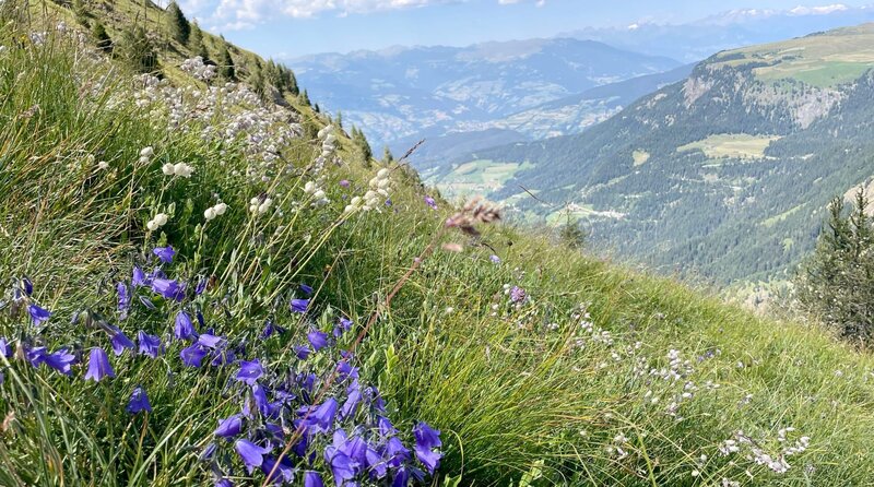Landschaftspanorama Dolomiten. – Bild: WDR/​Michael Wieseler