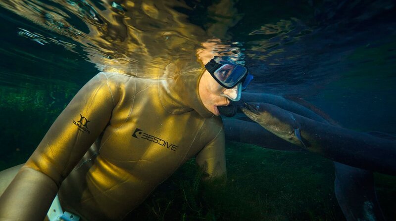 Anna von Boetticher mit Long Finn Aalen in einem Bach in Greytown, Neuseeland. – Bild: NDR/​Henning Rütten
