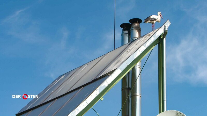 Erneuerbare Energie versorgt das Stiftsgut – Bild: MDR