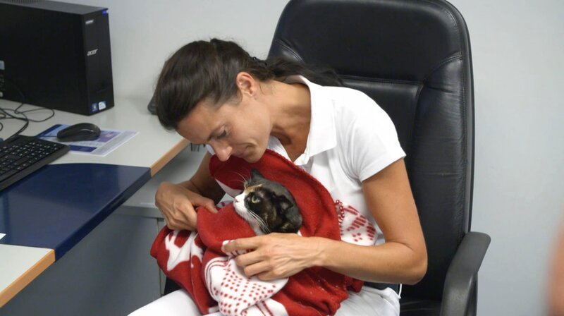 Tränenreiches Wiedersehen: Dr. Yasmin Diepenbruck und Katze Hope. – Bild: NDR/​Doclights GmbH 2020