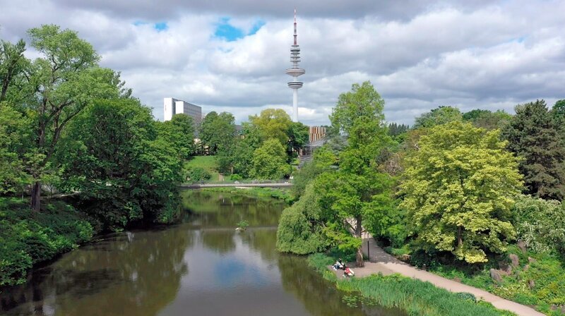 Der Wallgraben ist ein sehr naturnaher Bereich des Hamburger Parks Planten un Blomen. – Bild: NDR