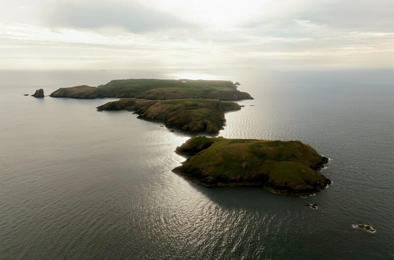 Vor der Küste von Pembrokeshire liegt Skomer Island. Die Insel ist ein Vogelschutzgebiet, in dem Trottellummen, Tordalke, Kormorane, Heringsmöwen und viele andere Seevögel nisten. – Bild: Martin Koddenberg