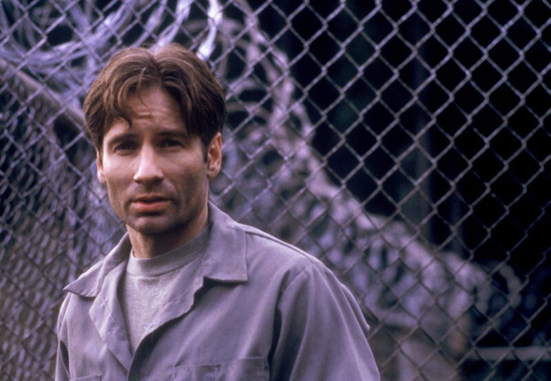 Fox Mulder (David Duchovny) – Bild: 1996 Twentieth Century Fox Film Corporation. All rights reserved. Lizenzbild frei
