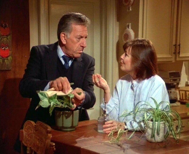 Quincy (Jack Klugman) und seine Kollegin Dr. Emily Hanover (Anita Gillette) unterhalten sich über den rätselhaften Selbstmord der jungen Julie. – Bild: RTLup