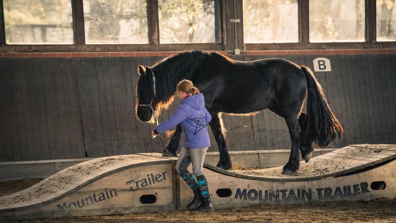 Marie und Stute Bailey – Bild: RTL /​ Docma TV