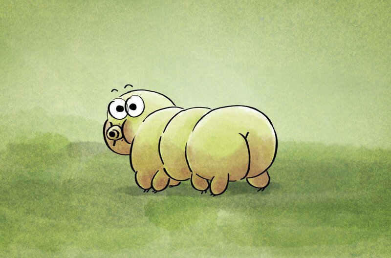 Das Bärtierchen hat acht Beinchen, kommt pro Monat aber nur rund drei Zentimeter voran. – Bild: Folimage/​Ex Nihilo