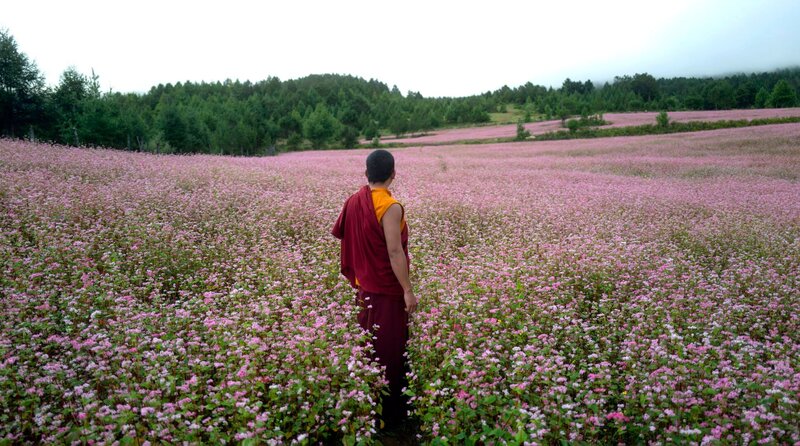 Was will der Lama mit dem Gewehr? – Bild: MDR/​Dangphu Dingphu: A 3 Pigs Production & Journey to the East Films Ltd.
