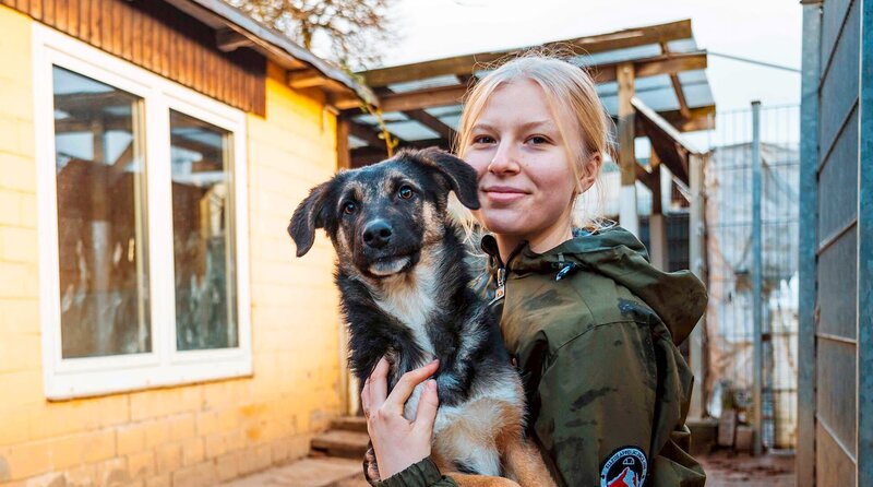 Dieser Welpe wurde mit seiner Mutter und zwei weiteren Geschwistern aus einer verwahrlosten Wohnung gerettet. Die jungen Hunde müssen im Tierheim Duisburg nun erst an alles herangeführt werden, das zu einem normalen Hundeleben dazu gehört. Bislang haben sie nichts an Umweltreizen kennengelernt. – Bild: WDR/​Goran Markovic-Schomburg