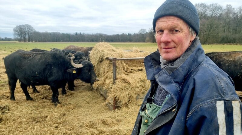 Die Wasserbüffel von Tino Bullmann sind hart im Nehmen. Sie stehen auch im Winter auf der Weide. Selbst Minustemperaturen stören die bis zu 600-Kilo schweren Kolosse nicht. – Bild: NDR/Stefan Radüg Die Wasserbüffel von Tino Bullmann sind hart im Nehmen. Sie stehen auch im Winter auf der Weide. Selbst Minustemperaturen stören die bis zu 600-Kilo schweren Kolosse nicht. – Bild: NDR/Stefan Radüg