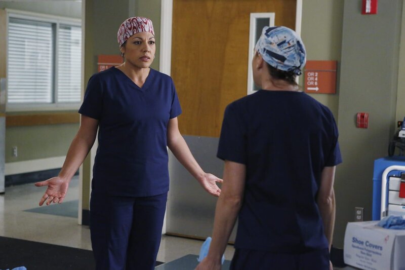 Meredith (Ellen Pompeo, r.) und Callie (Sara Ramirez, l.) geraten wegen Penny aneinander, während Webber zum neunen Wingman von Arizona wird … – Bild: ABC Studios