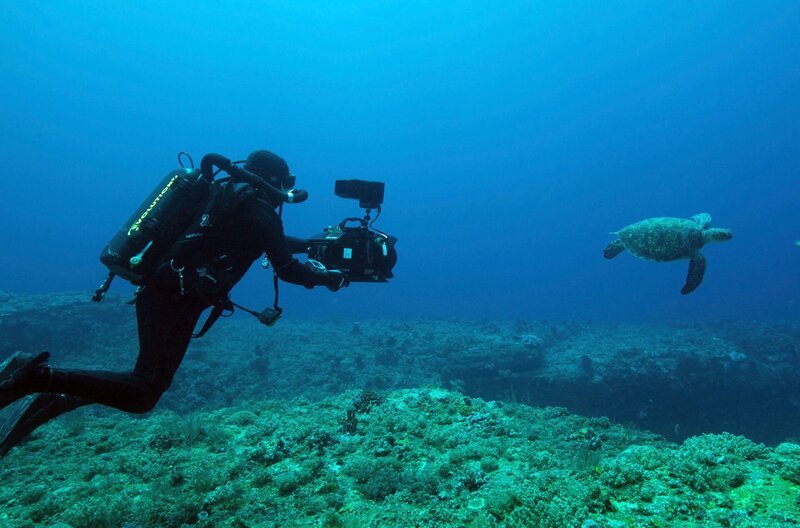 Unterwasseraufnahmen mit einer grünen Schildkröte. Yonaguni. – Bild: phoenix/​ZDF/​BBC