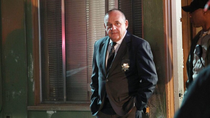 Captain Jim Brass (Paul Guilfoyle) und die CSI-Kollegen werden zu einem Doppelmord ins Sky View Motel gerufen. – Bild: MG RTL D
