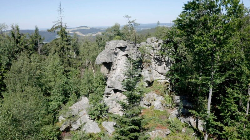 Steinwald-Sphinx. – Bild: BR/​Matthias Hlous