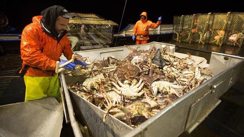 Northwestern. Deckhands Matt Bradley and Nick Mavar. – Bild: Discovery Channel